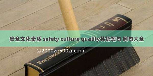 安全文化素质 safety culture quality英语短句 例句大全