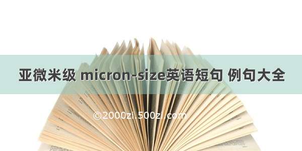 亚微米级 micron-size英语短句 例句大全