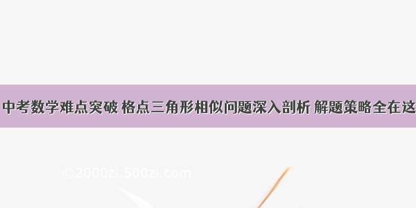 中考数学难点突破 格点三角形相似问题深入剖析 解题策略全在这