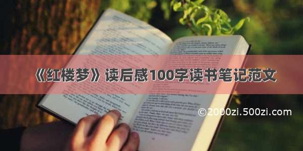 《红楼梦》读后感100字读书笔记范文