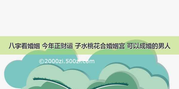 八字看婚姻 今年正财运 子水桃花合婚姻宫 可以成婚的男人