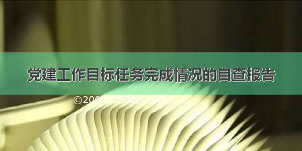 党建工作目标任务完成情况的自查报告