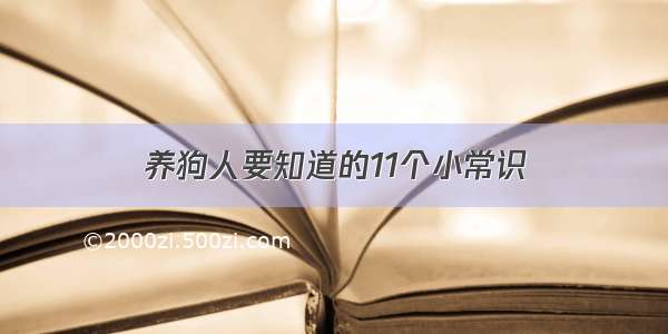 养狗人要知道的11个小常识