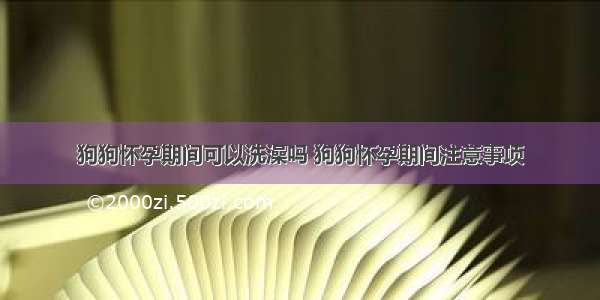 狗狗怀孕期间可以洗澡吗 狗狗怀孕期间注意事项