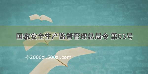 国家安全生产监督管理总局令 第63号