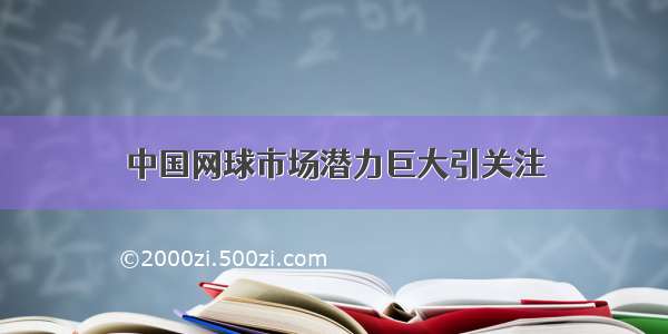 中国网球市场潜力巨大引关注