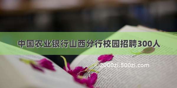 中国农业银行山西分行校园招聘300人
