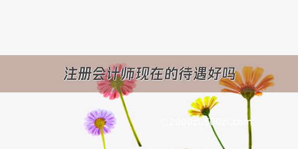 注册会计师现在的待遇好吗