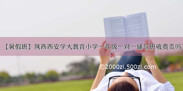 【暑假班】陕西西安学大教育小学一年级一对一辅导班收费贵吗？