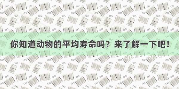 你知道动物的平均寿命吗？来了解一下吧！