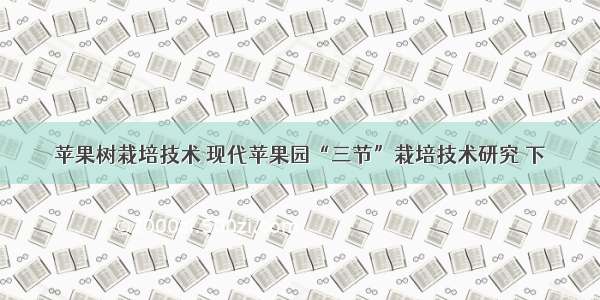 苹果树栽培技术 现代苹果园“三节”栽培技术研究 下