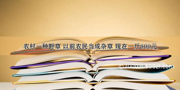 农村一种野草 以前农民当成杂草 现在一斤600元