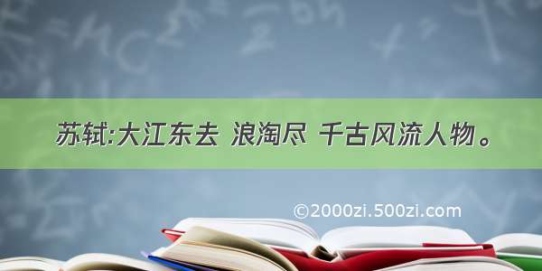 苏轼:大江东去 浪淘尽 千古风流人物。