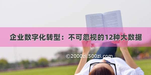 企业数字化转型：不可忽视的12种大数据