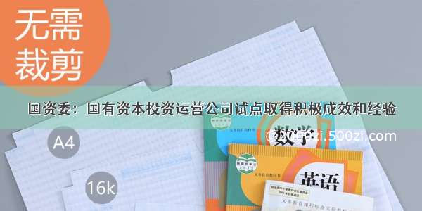 国资委：国有资本投资运营公司试点取得积极成效和经验