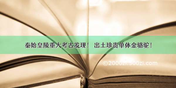 秦始皇陵重大考古发现！ 出土珍贵单体金骆驼！