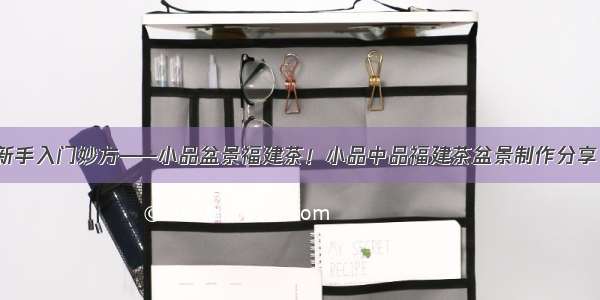 新手入门妙方——小品盆景福建茶！小品中品福建茶盆景制作分享！