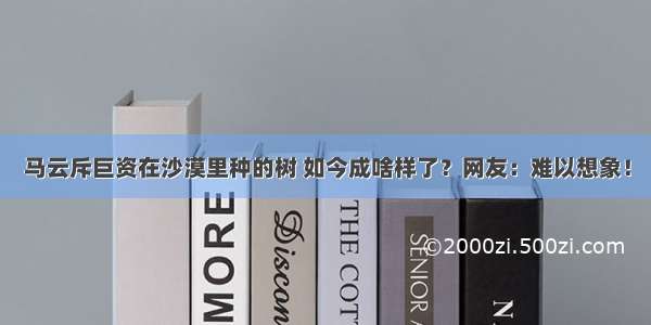 马云斥巨资在沙漠里种的树 如今成啥样了？网友：难以想象！