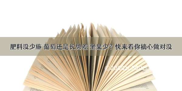 肥料没少施 葡萄还是长势差 坐果少？快来看你摘心做对没