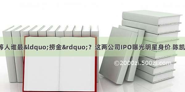 周迅 霍建华 孙红雷等人谁最“捞金”？这两公司IPO曝光明星身价 陈凯歌进账“套路