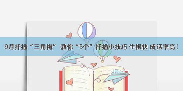 9月扦插“三角梅” 教你“5个”扦插小技巧 生根快 成活率高！