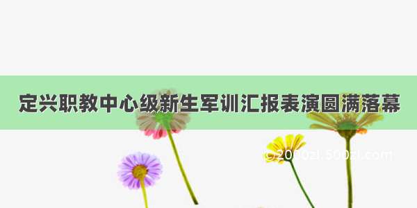 定兴职教中心级新生军训汇报表演圆满落幕