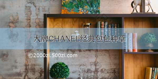 大牌CHANEL经典包包种草