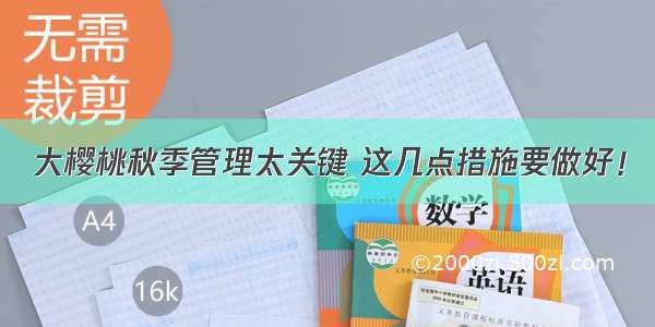 大樱桃秋季管理太关键 这几点措施要做好！