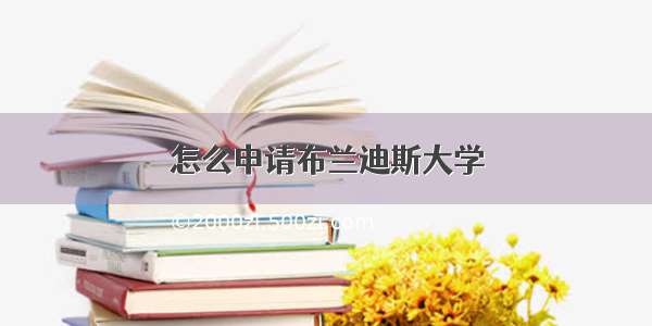 怎么申请布兰迪斯大学