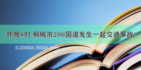 昨晚8时 桐城市206国道发生一起交通事故！