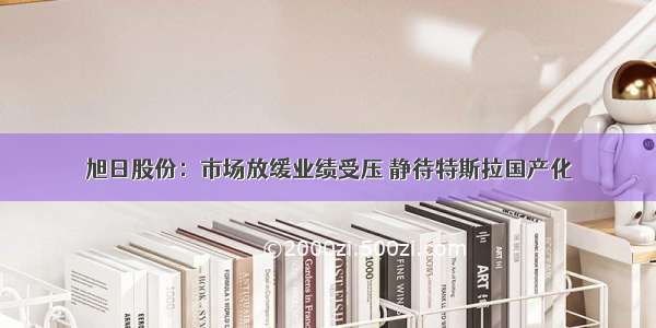 旭日股份：市场放缓业绩受压 静待特斯拉国产化