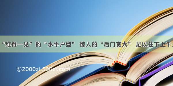 “难得一见”的“水牛户型” 惊人的“后门宽大” 足以住下上千人