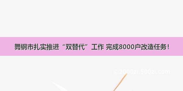 舞钢市扎实推进“双替代”工作 完成8000户改造任务！