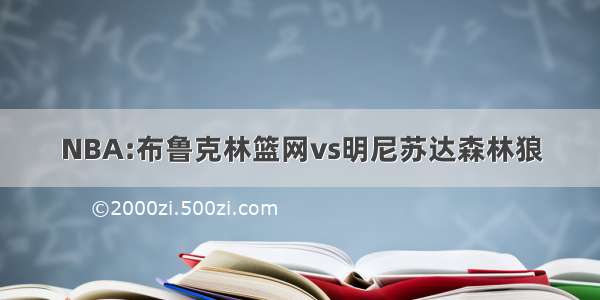 NBA:布鲁克林篮网vs明尼苏达森林狼