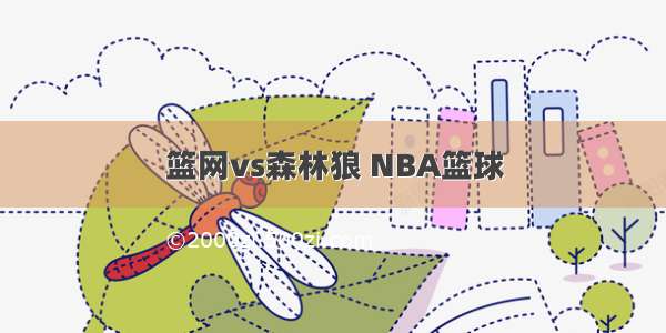 篮网vs森林狼 NBA篮球