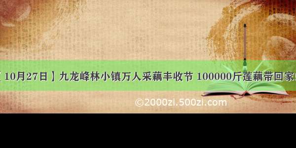 【10月27日】九龙峰林小镇万人采藕丰收节 100000斤莲藕带回家！！