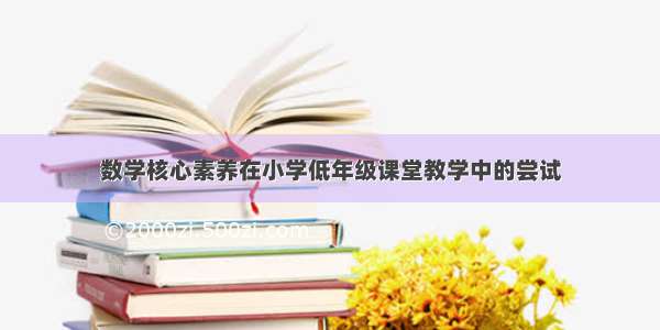 数学核心素养在小学低年级课堂教学中的尝试