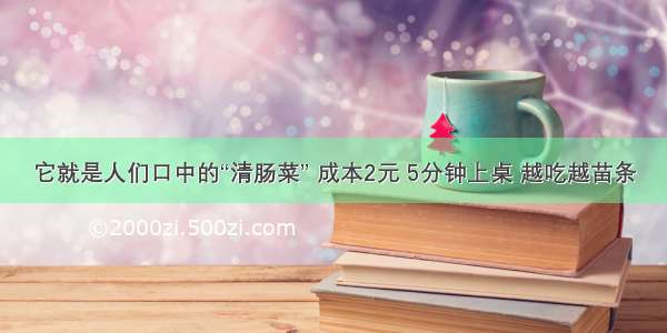 它就是人们口中的“清肠菜” 成本2元 5分钟上桌 越吃越苗条