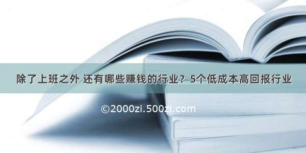 除了上班之外 还有哪些赚钱的行业？5个低成本高回报行业