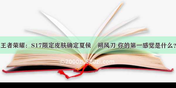 王者荣耀：S17限定皮肤确定夏侯惇朔风刀 你的第一感觉是什么？