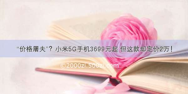 “价格屠夫”？小米5G手机3699元起 但这款却定价2万！