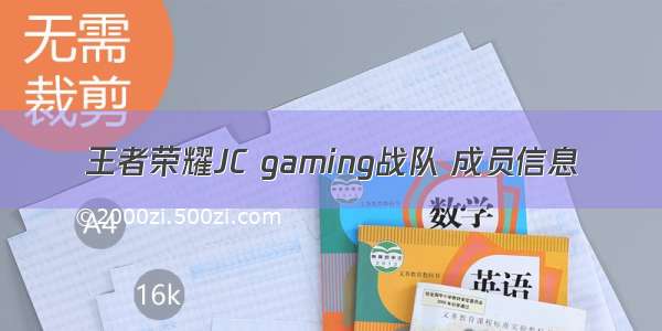 王者荣耀JC gaming战队 成员信息