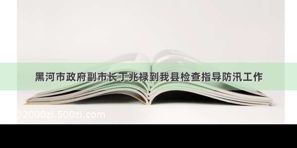 黑河市政府副市长丁兆禄到我县检查指导防汛工作