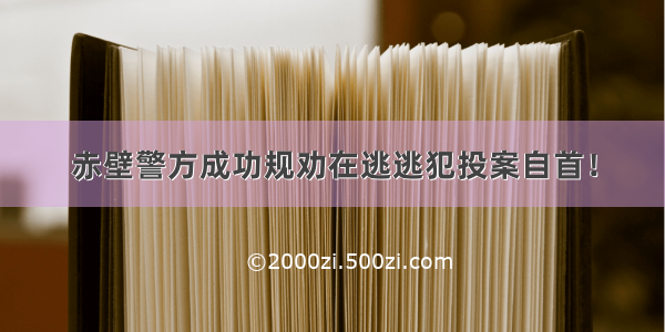 赤壁警方成功规劝在逃逃犯投案自首！