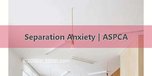 Separation Anxiety | ASPCA