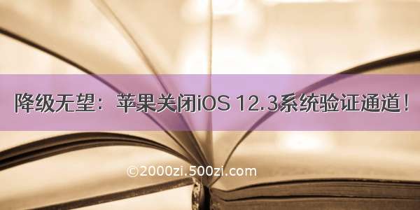 降级无望：苹果关闭iOS 12.3系统验证通道！