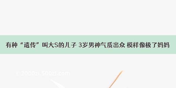 有种“遗传”叫大S的儿子 3岁男神气质出众 模样像极了妈妈