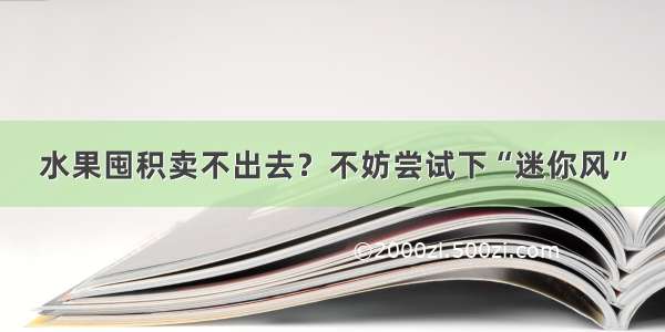 水果囤积卖不出去？不妨尝试下“迷你风”