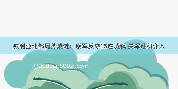 叙利亚北部局势成谜：叛军反夺15座城镇 美军趁机介入