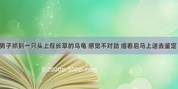 男子抓到一只头上在长草的乌龟 感觉不对劲 细看后马上送去鉴定！